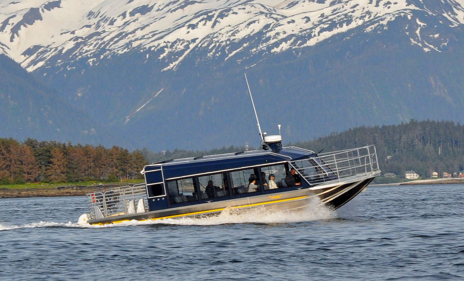35′ Twin Diesel Whale Watching Tour Boat